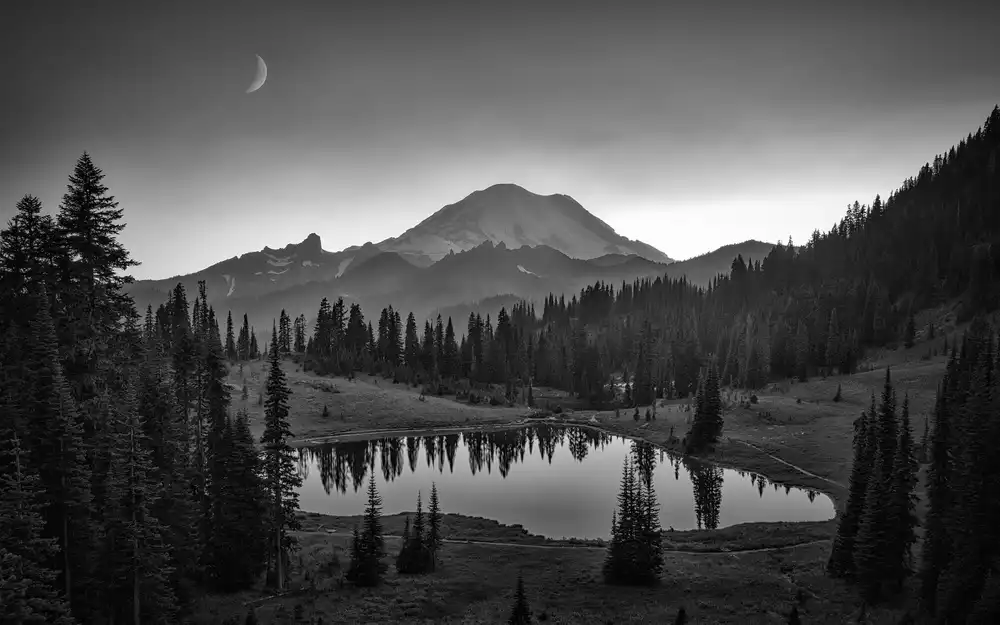 Zheng, Michael: Monte Rainier
