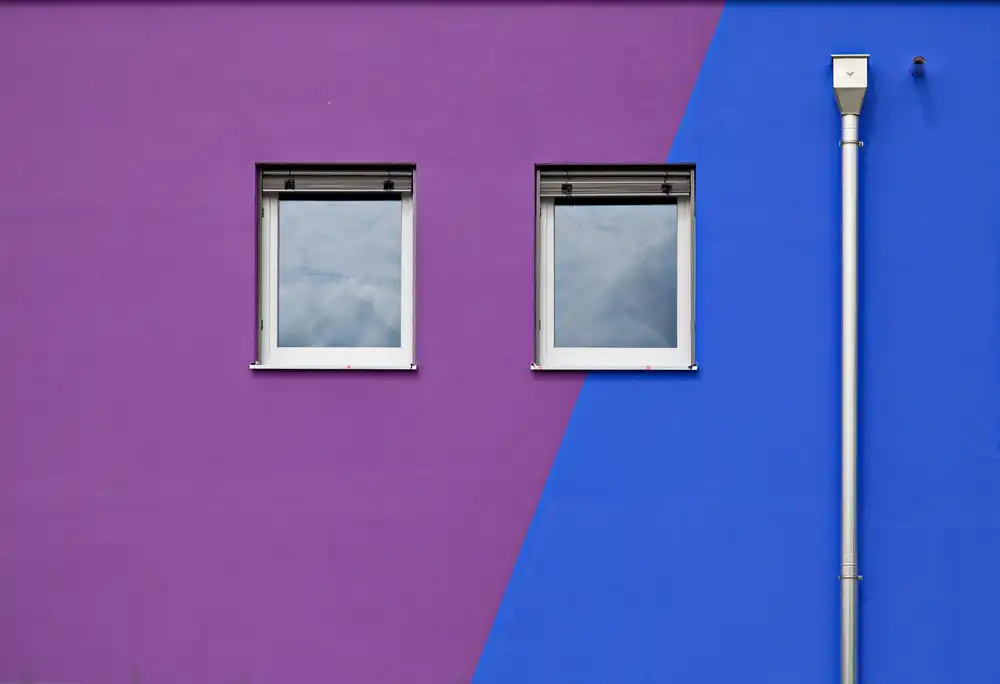 Rank, Peter Hans: from purple to blue
