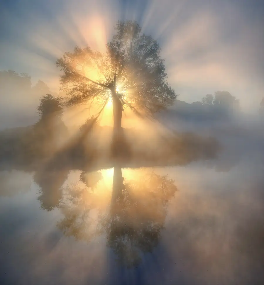 keller: Tree of light