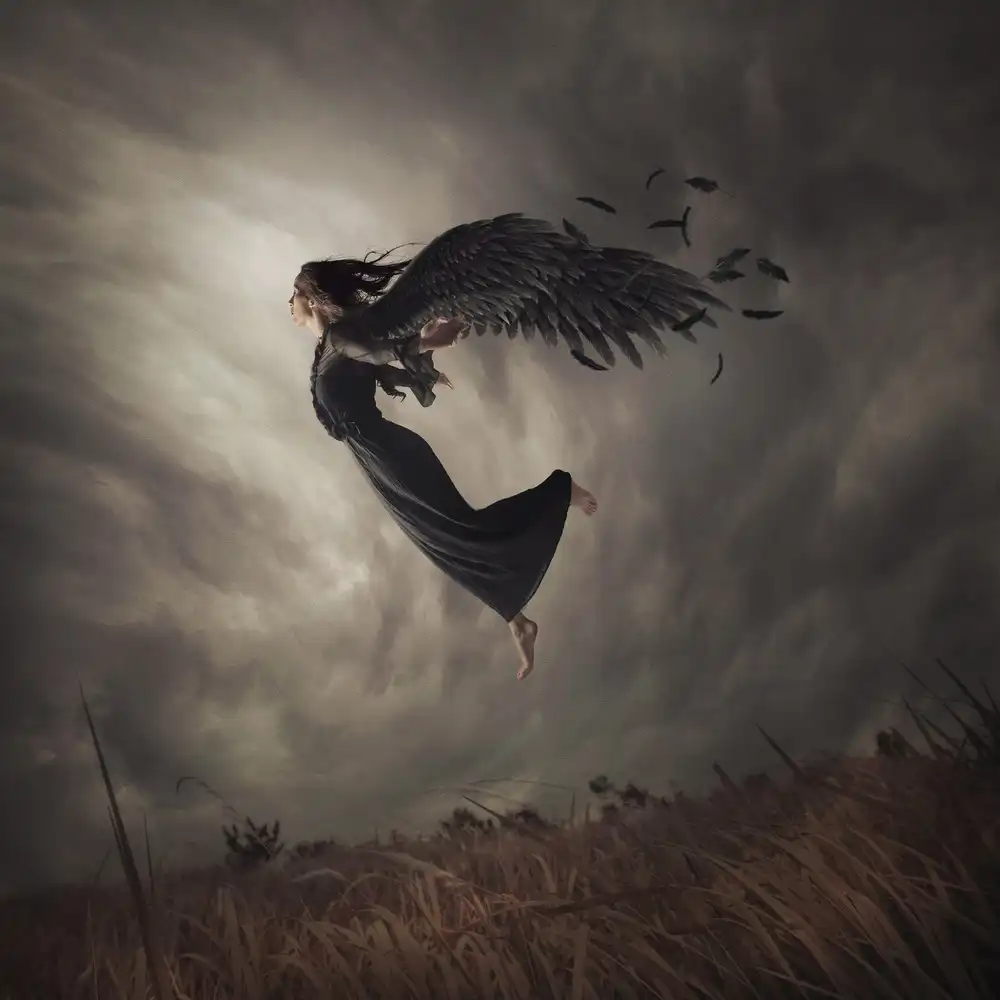 hardibudi: When the angel falls