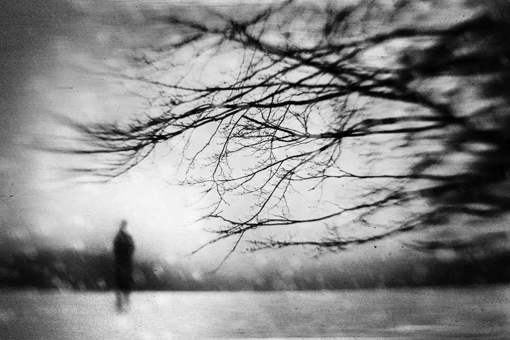 Davidsson, Gustav: Alone
