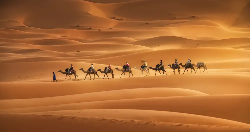 Dueso, Ruiz Jorge: Caravan