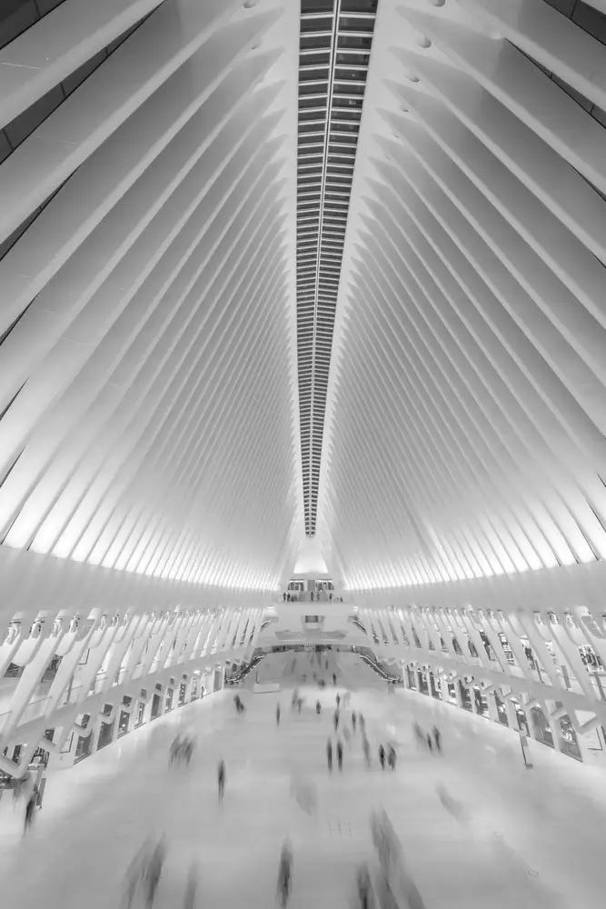 Schilbe, Stefan: NY in motion