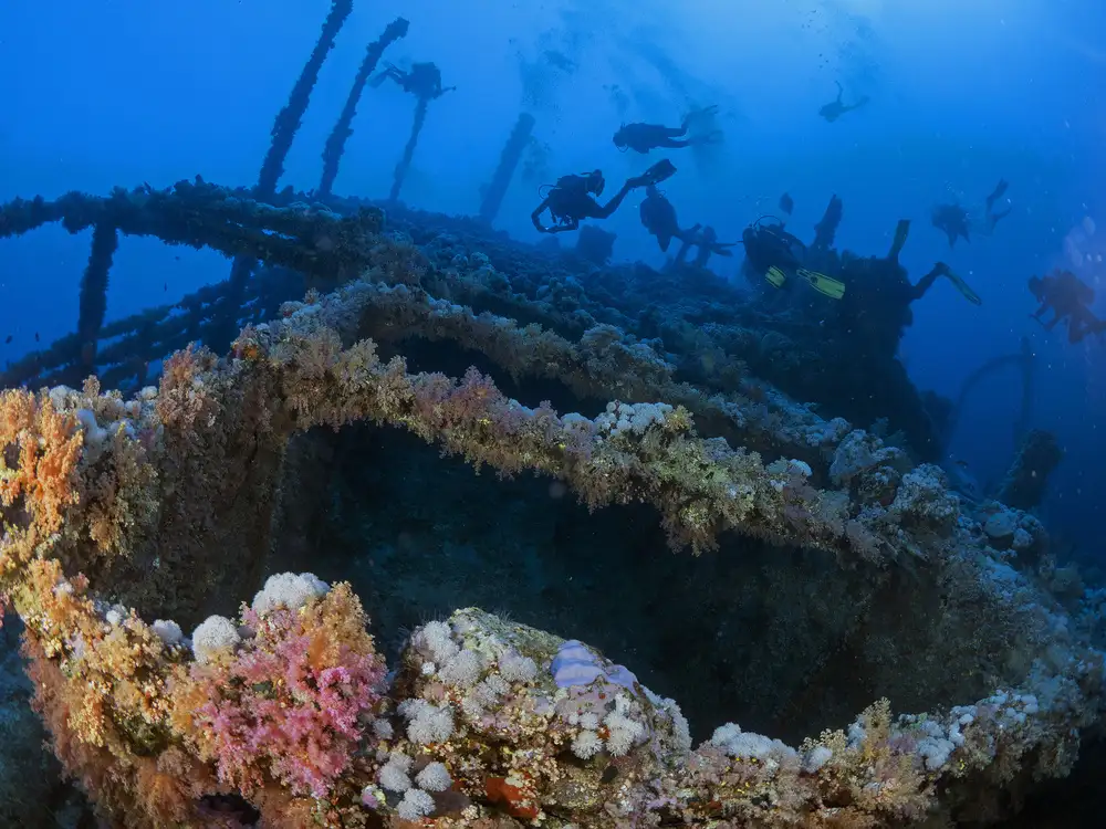 Tov, Ben Ilan: Wreck of the Numidia