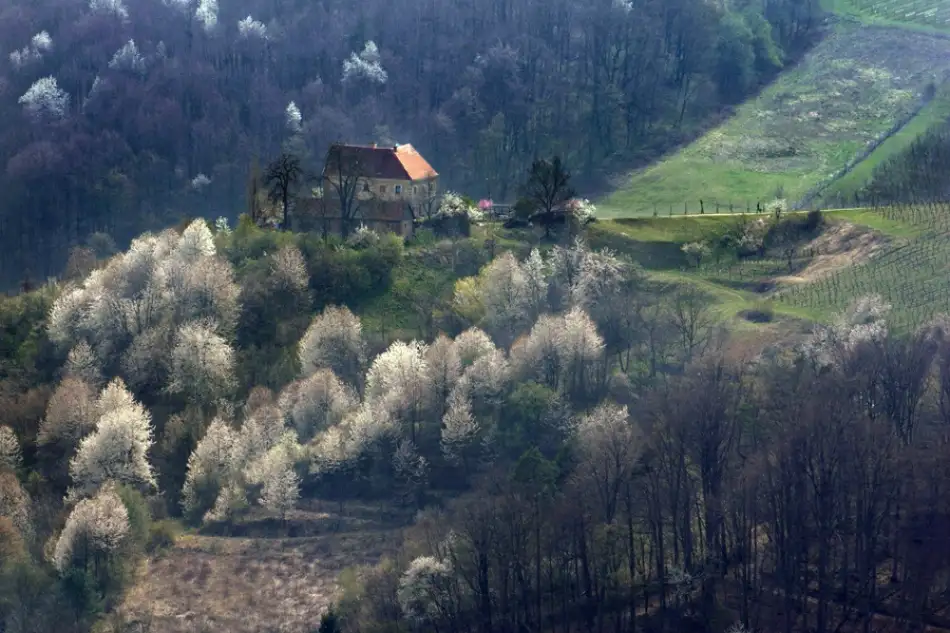 Kravanja, Jure: Ich liebe den April