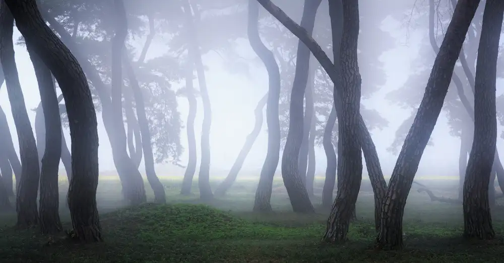 Eom, Gwangseop: Into the Mist