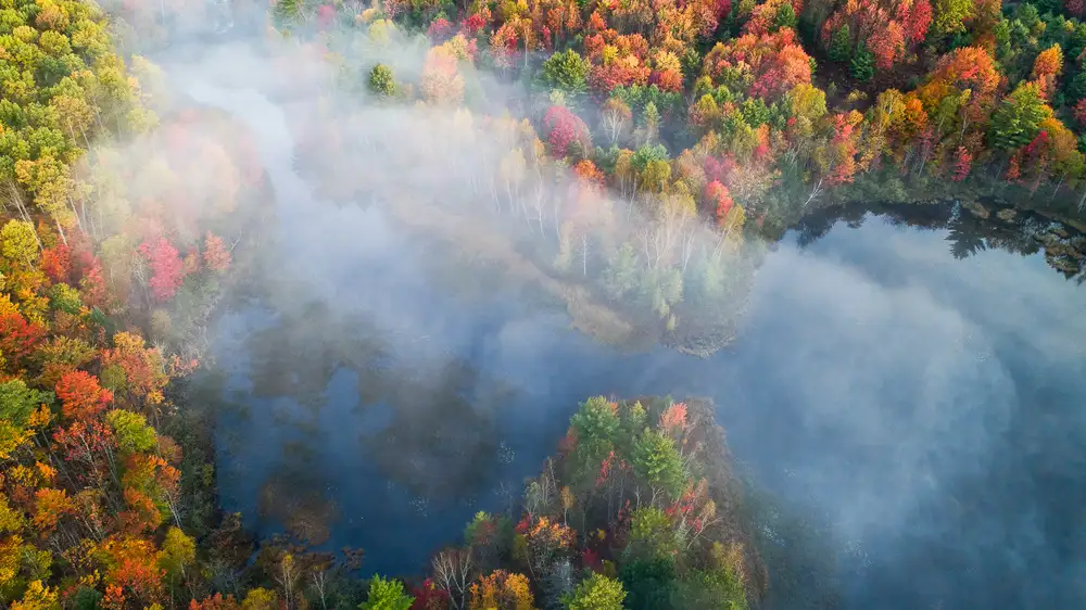 Fan, John: Autumn Symphony I