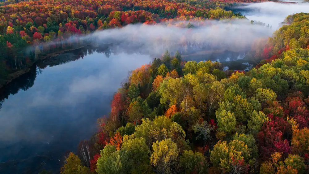 Fan, John: Autumn Symphony II