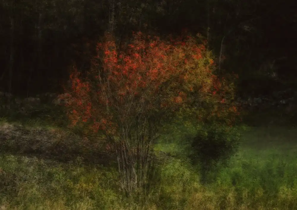 Holmström, Katarina: Fall is here