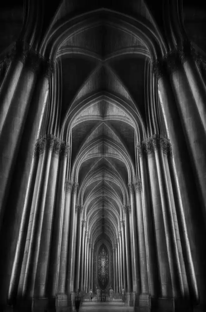Mazouz, Oussama: Notre-Dame Cathédral