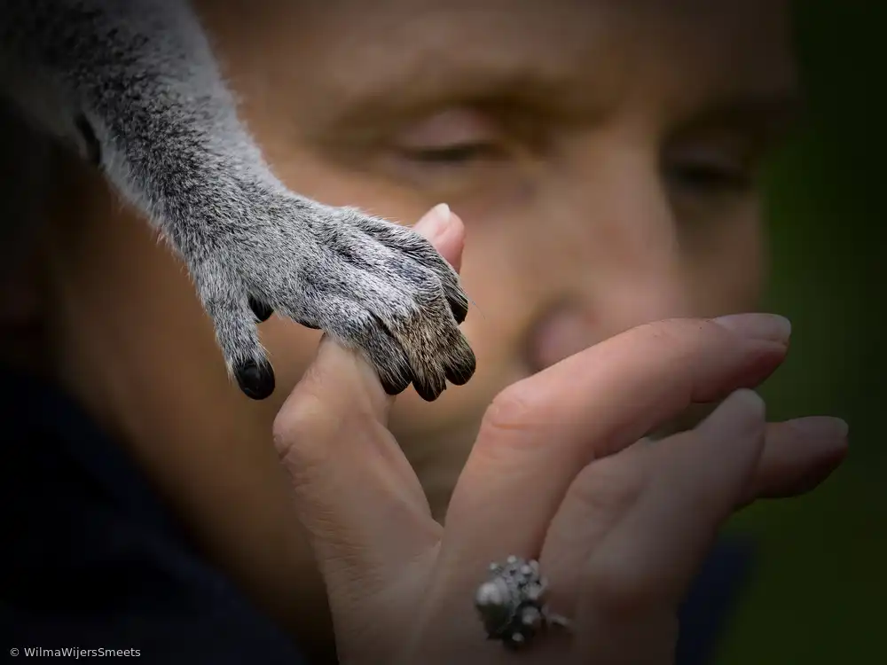 Smeets, Wijers, Wilma: Take my hand.