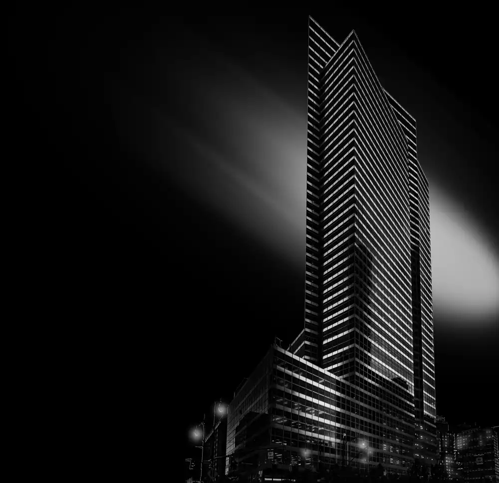 Carvalho, Jackson: America in Noir - Lines