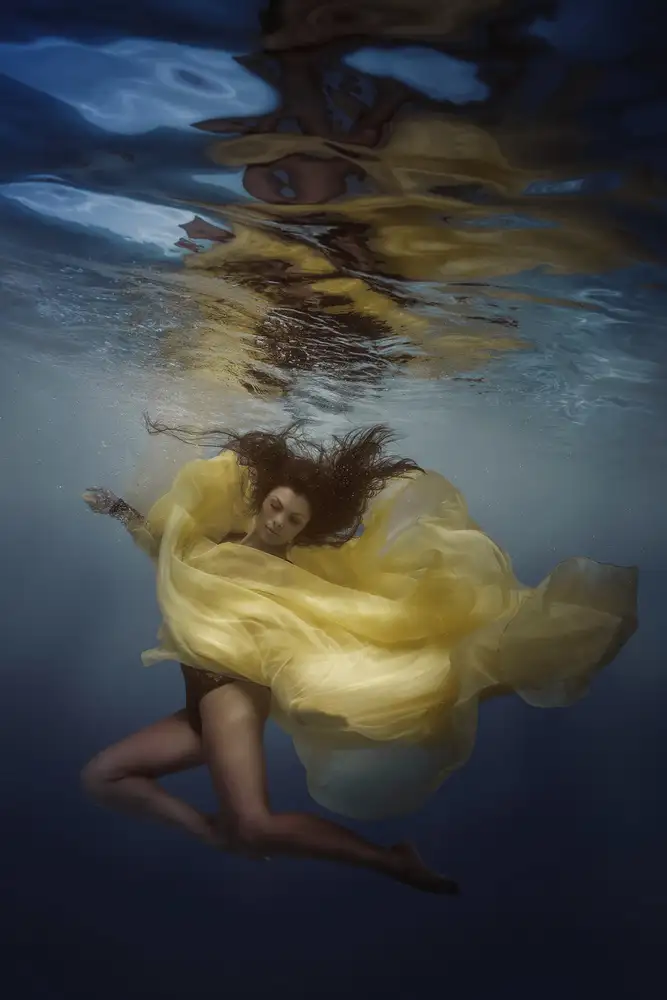 Laudin, Dmitry: Underwater Lily