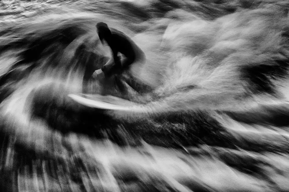 Latta, Della Massimo: Surf 5