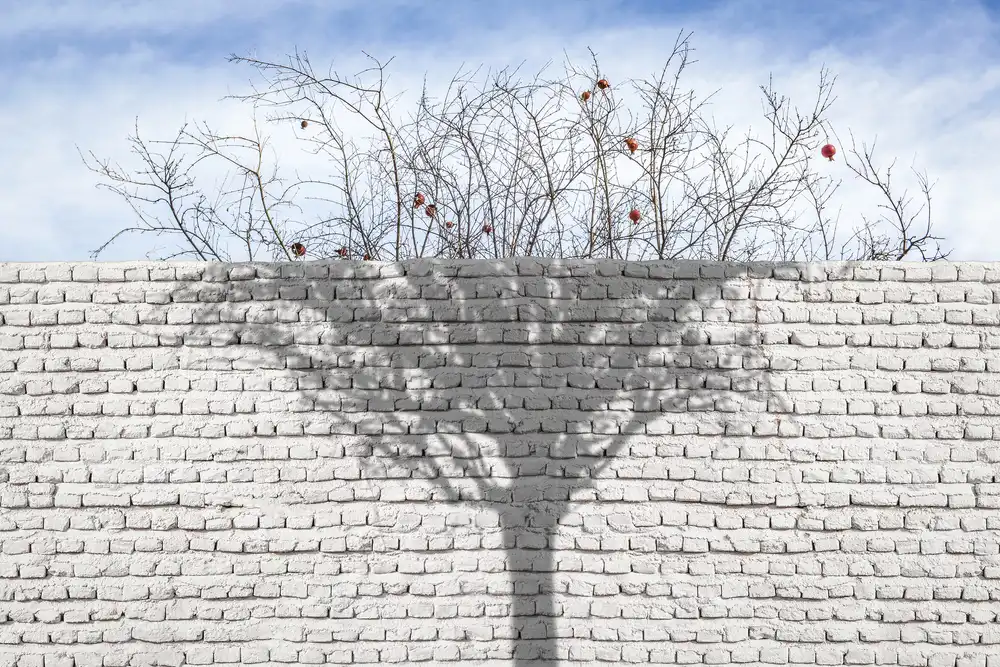 Eslamzadeh, Milad: White Wall