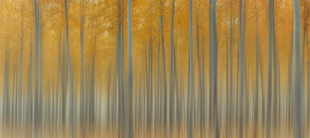 Jacobs, Lydia: Autumn Delight