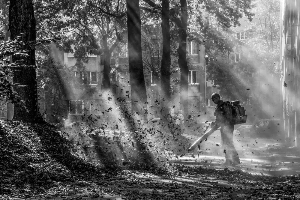 Lapcevic, Dragan: Leaf cleaner
