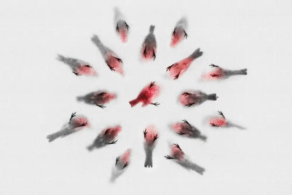 Eslamzadeh, Milad: Impact