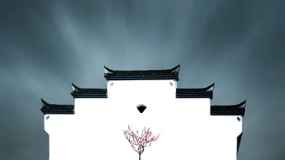 Z, Bingo: Spring in China