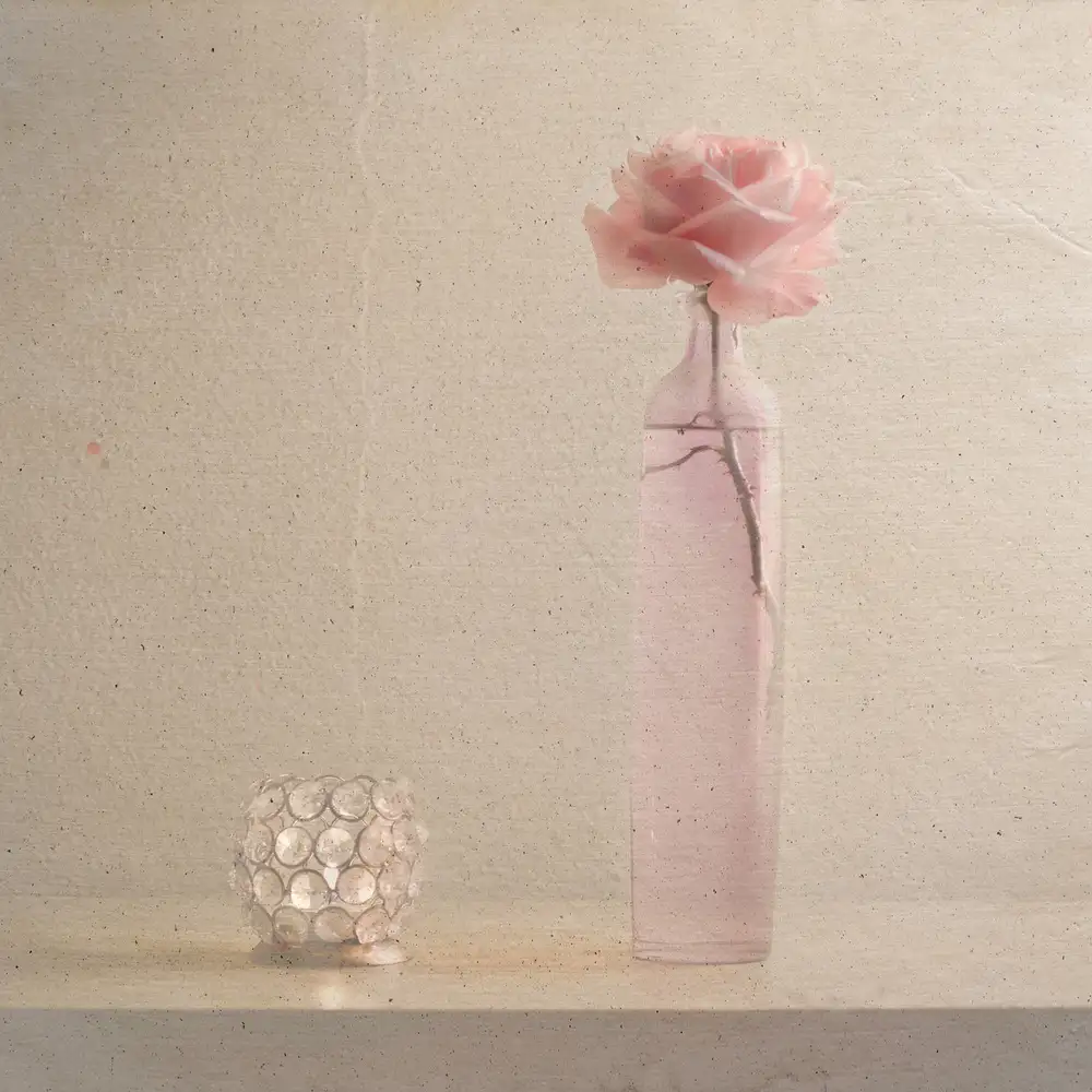 Polo, Piera: Leave your light on