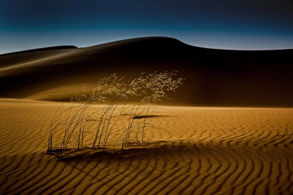 Inderst, Rainer: seed&sand