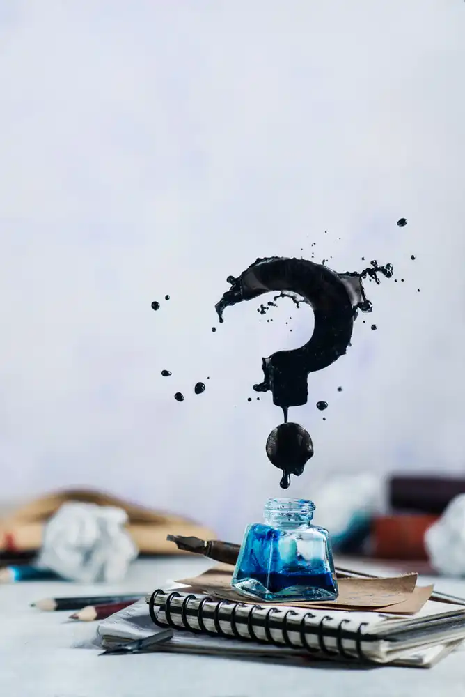 Belenko, Dina: What to write