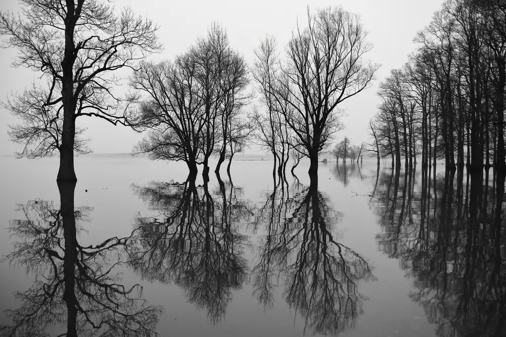 Ascic, Simun: Alluvione