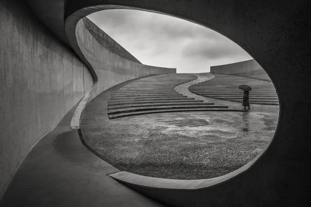 Hoog, de Roelof: Between the lines