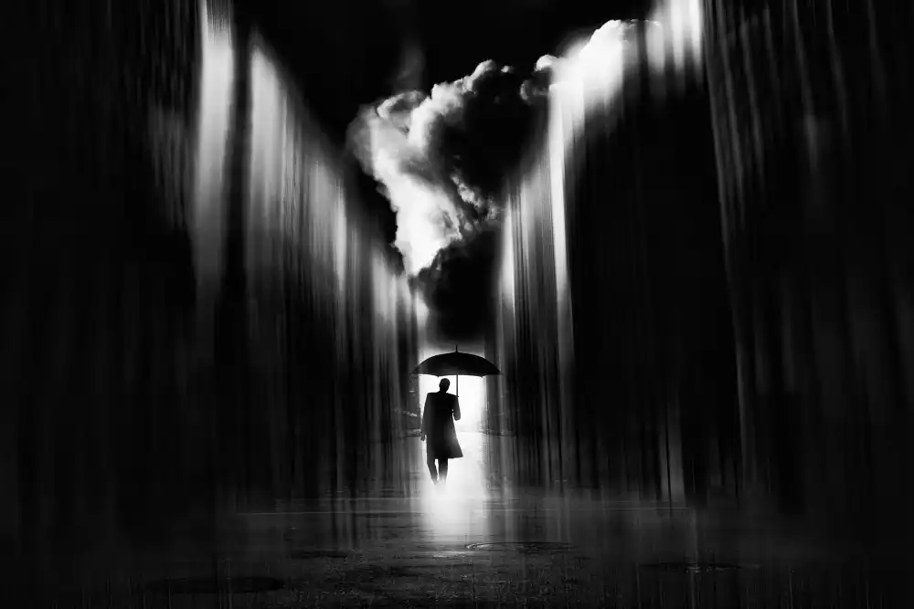 Eisele, Stefan: Rainwaker