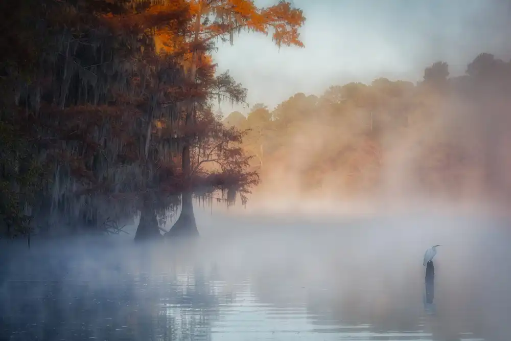 Zheng, Michael: Ein ruhiger Morgen am Caddo Lake