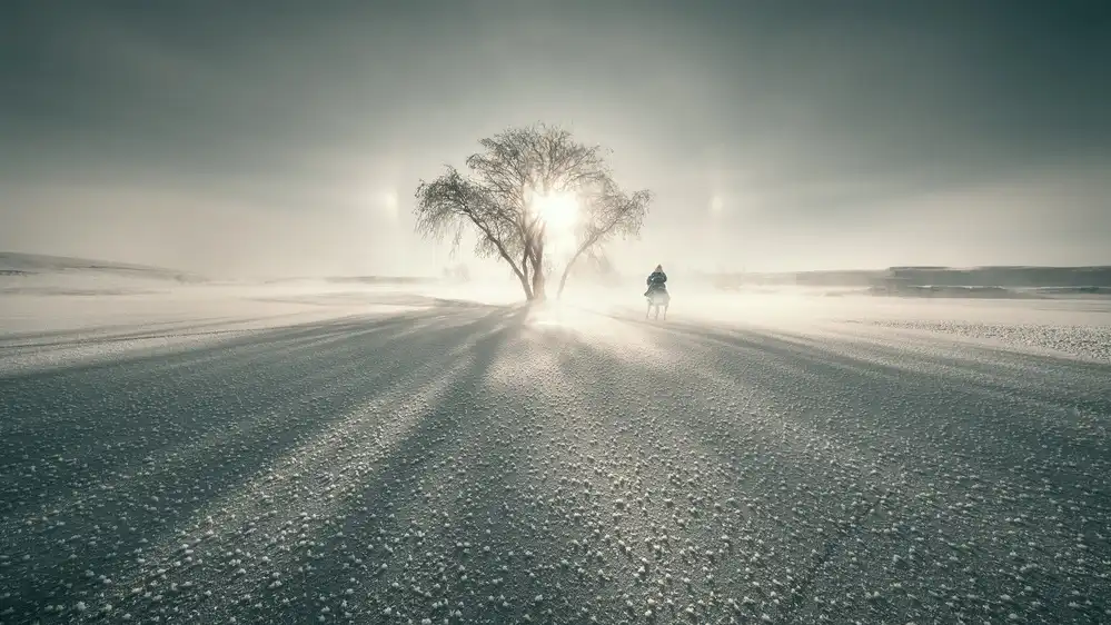 Z, Bingo: Parhelion