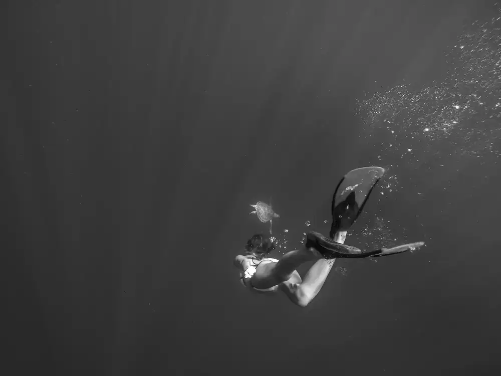Gispert, Salgado Gloria: Deep
