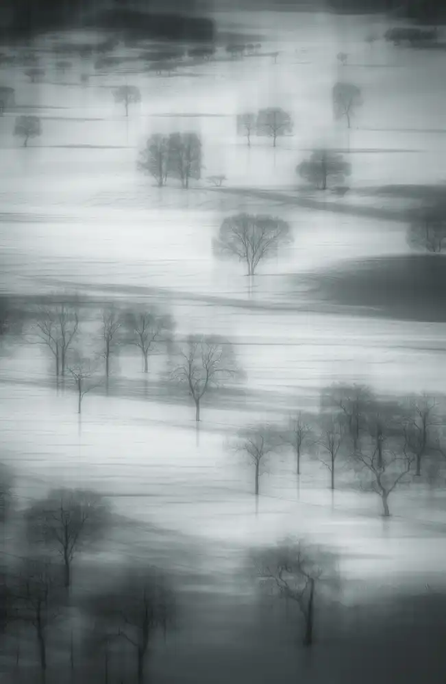 Tianqi: Auspicious snow