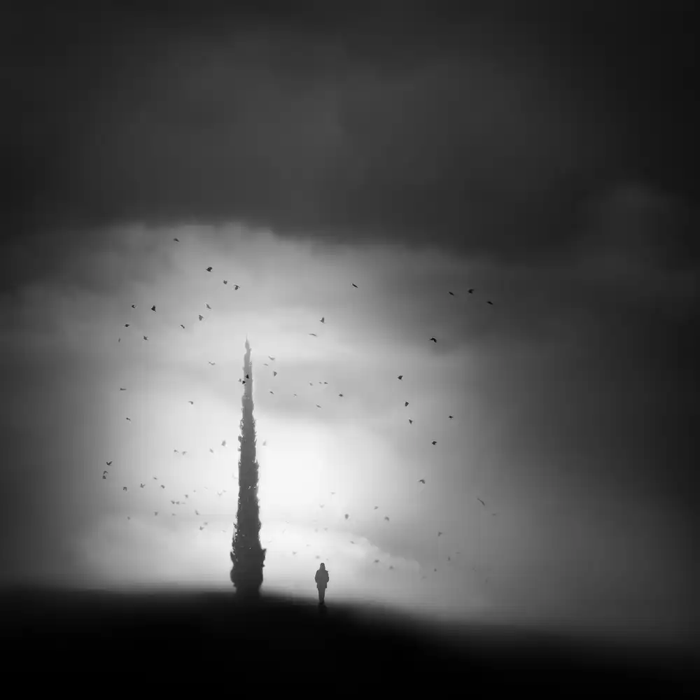Keller, Nic: Alone with the cypress and birds