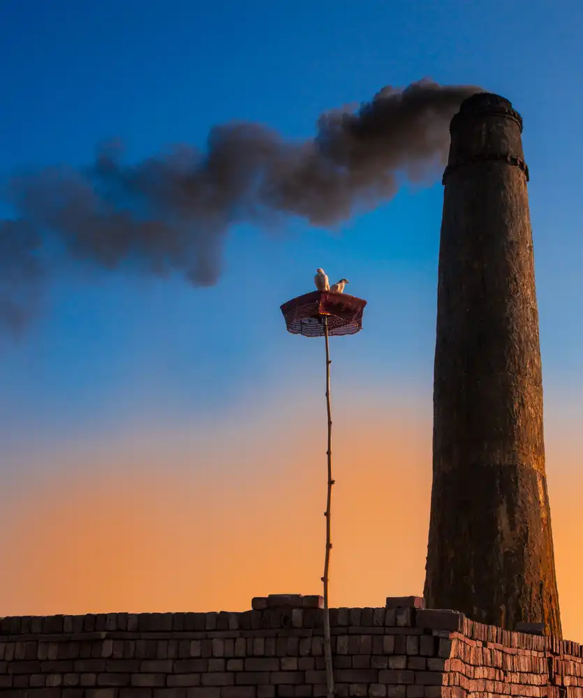 Reza, Nayyer Sayyed: Pollution