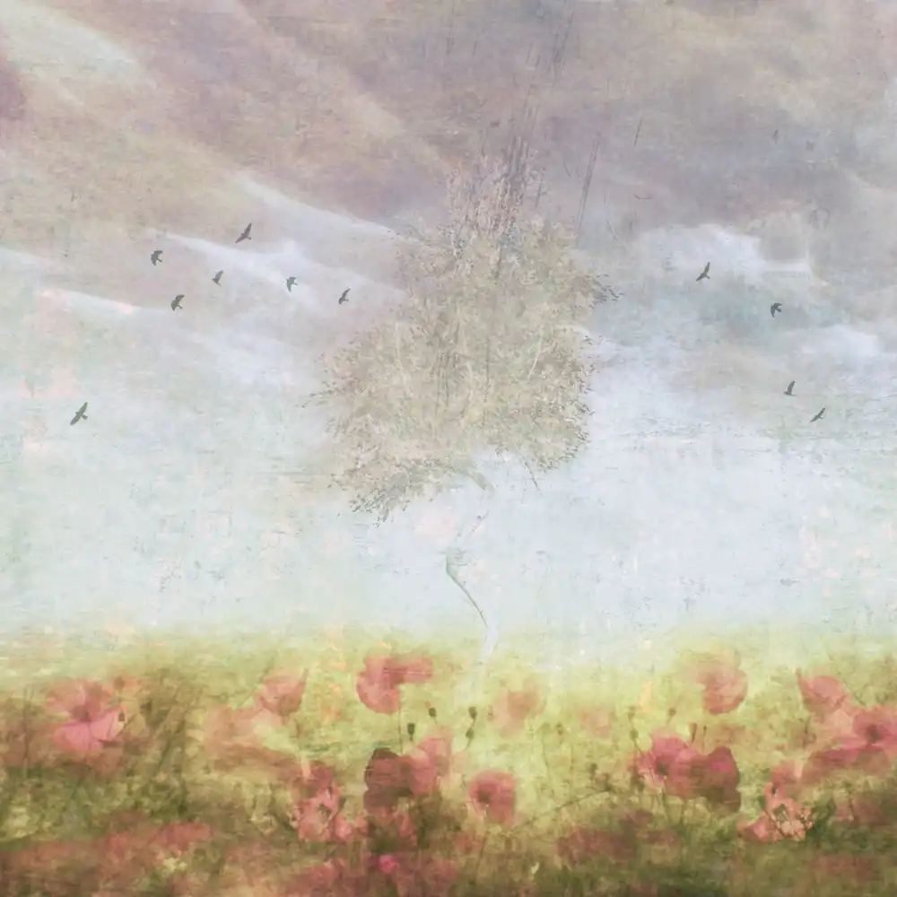 Devos, Delphine: Day Dream