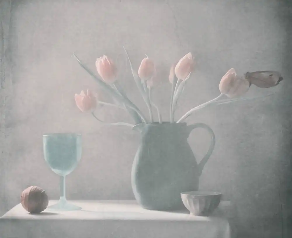 Devos, Delphine: Tulpen und Schmetterling