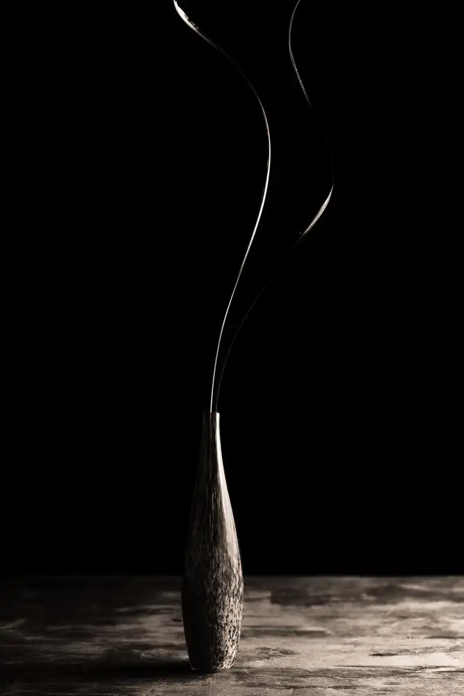 Ljubicic, Dusan: Curve