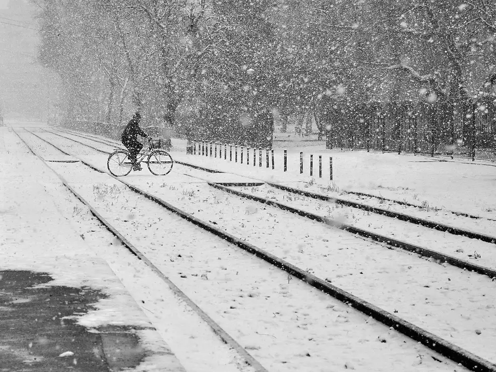 Gabor, Nicoleta: winter passengers