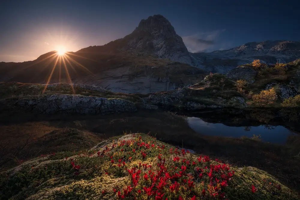 Turienzo, F. Carlos: Lost Mountain
