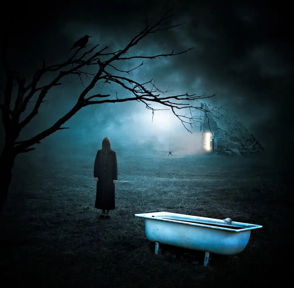 Smajić, Nermin: Horror Story