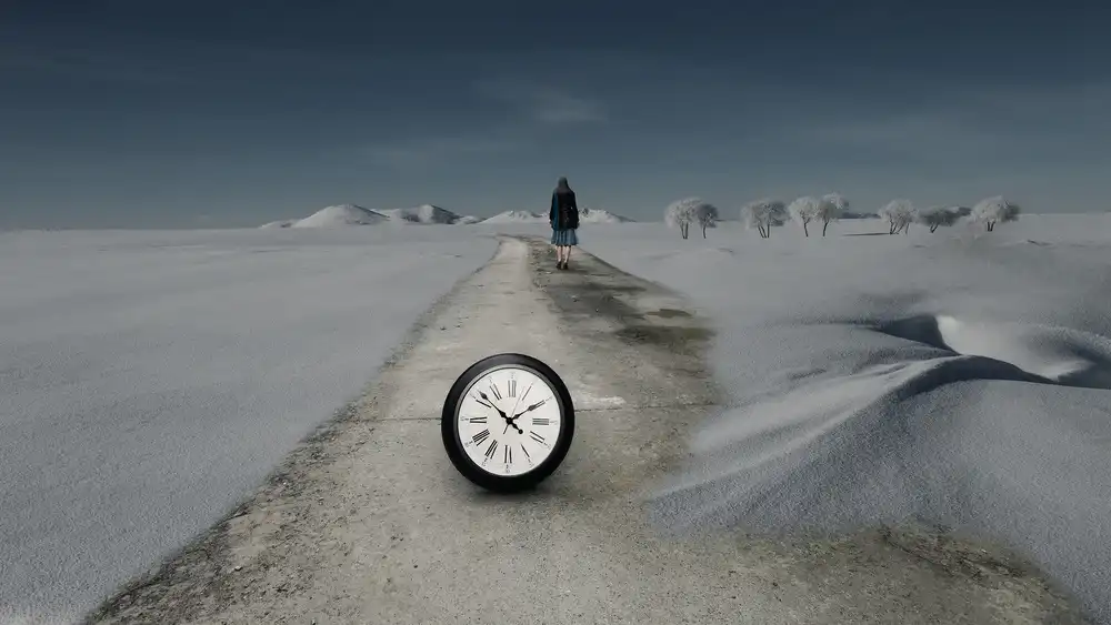 Z, Bingo: The road
