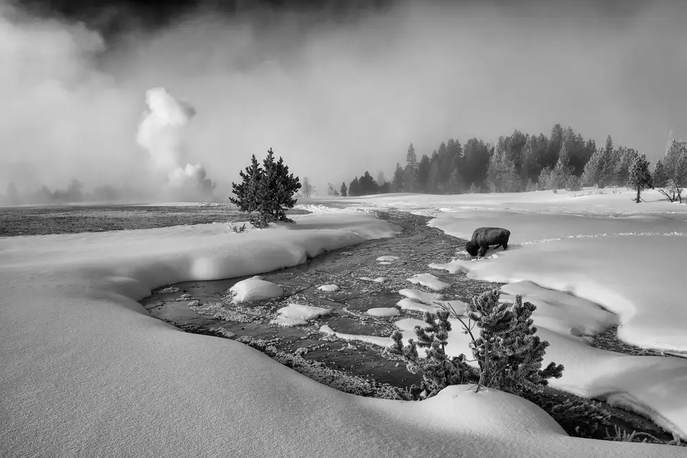 Dou, Shenshen: Las dificultades del invierno