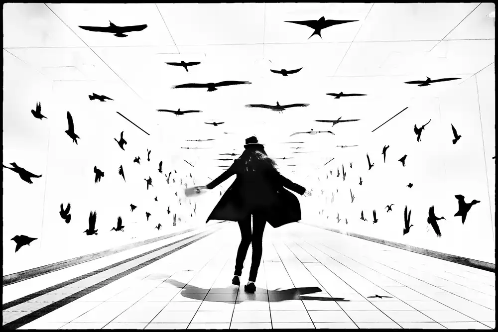 Sakamoto, Haruyo: Mit Vögeln