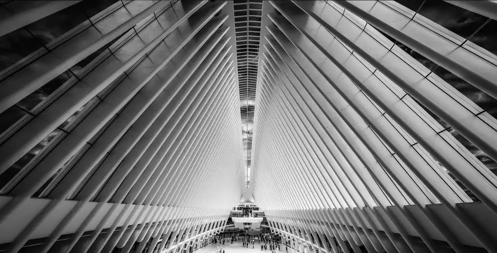 Carvalho, Jackson: Oculus