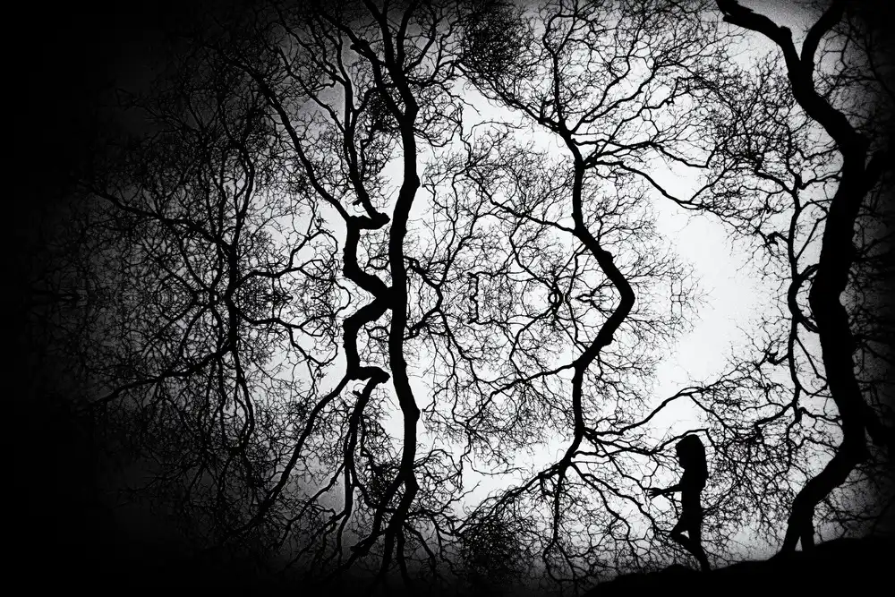 Labagnara, Roxana: Branches
