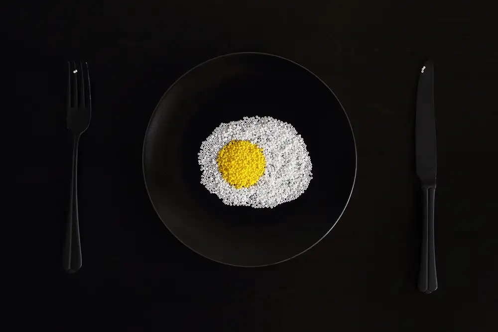 Glinka, Victoria: A fried egg for a needlewoman