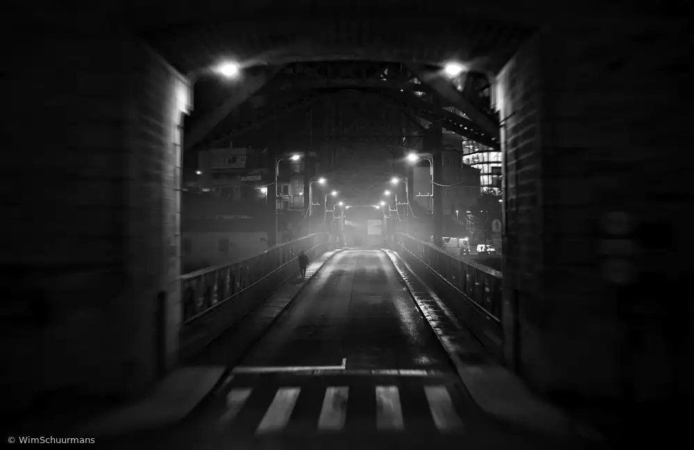 Schuurmans,,,, Wim,,,: Halfway Ponte Luís I