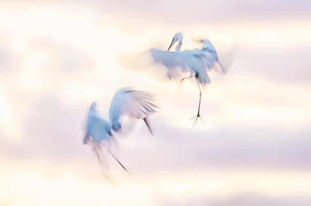 Deng, Larry: Ballet in the air