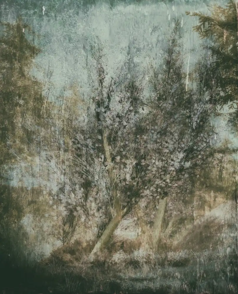 Devos, Delphine: To everything there is a season